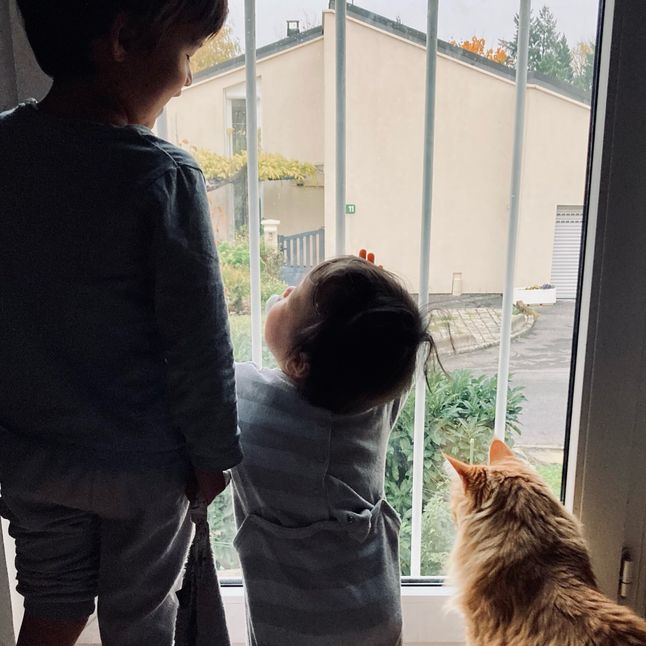 My lovely boys with the cat, looking at each other, near a window